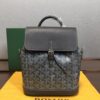 Goyard Alpin Mini Backpack