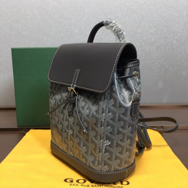 Goyard Alpin Mini Backpack