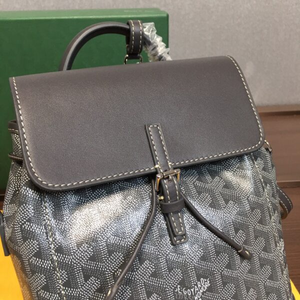 Goyard Alpin Mini Backpack