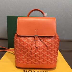 Goyard Alpin Mini Backpack