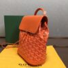 Goyard Alpin Mini Backpack