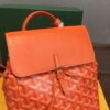 Goyard Alpin Mini Backpack