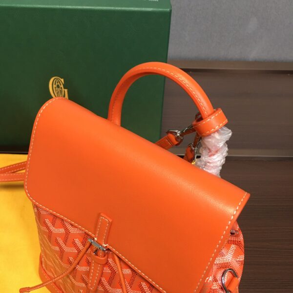 Goyard Alpin Mini Backpack