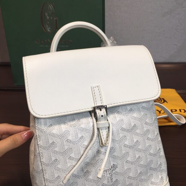 Goyard Alpin Mini Backpack