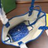 Goyard Saint Louis Mini Tote