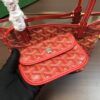 Goyard Saint Louis Mini Tote