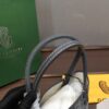 Goyard Saint Louis Mini Tote