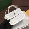 Goyard Saint Louis Mini Tote