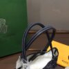Goyard Saint Louis Mini Tote