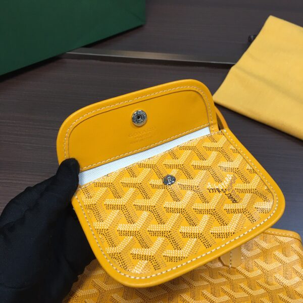 Goyard Saint Louis Mini Tote