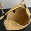Bottega Veneta Sardine Chain Raffia crochet bag