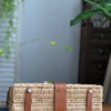Hermes Kelly Picnic