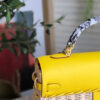 Hermes Kelly Picnic