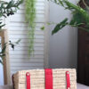 Hermes Kelly Picnic