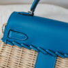 Hermes Kelly Picnic 20