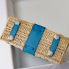 Hermes Kelly Picnic 20