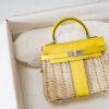 Hermes Kelly Picnic 20