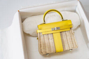 Hermes Kelly Picnic 20
