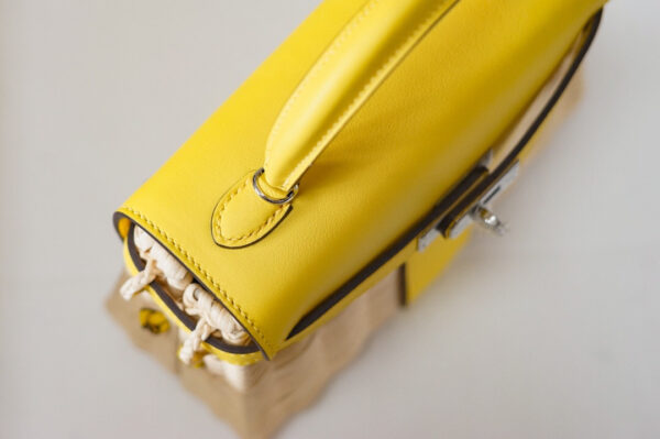 Hermes Kelly Picnic 20