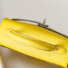 Hermes Kelly Picnic 20