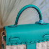 Hermes Kelly Picnic 20
