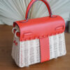 Hermes Kelly Picnic 20