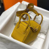 Hermes Mini Lindy