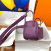 Hermes Mini Lindy