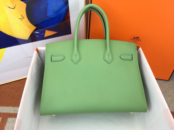 Hermes Birkin 25