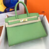Hermes Birkin 25