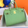 Hermes Birkin 25