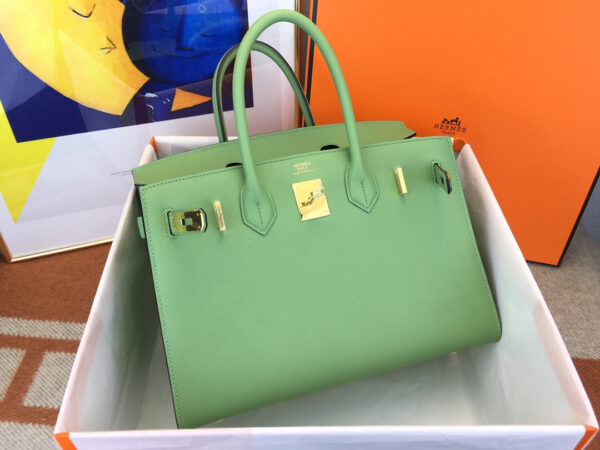 Hermes Birkin 25