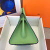Hermes Birkin 25
