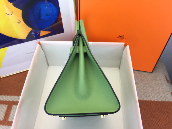 Hermes Birkin 25