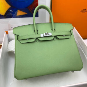 Hermes Birkin 25