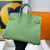 Hermes Birkin 25