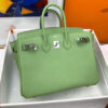 Hermes Birkin 25
