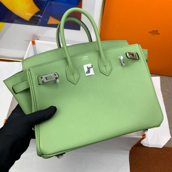 Hermes Birkin 25