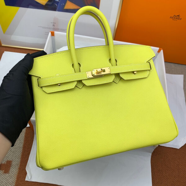 Hermes Birkin 25
