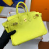 Hermes Birkin 25