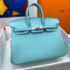 Hermes Birkin 25