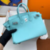 Hermes Birkin 25