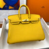 Hermes Birkin 25