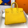 Hermes Birkin 25