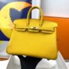 Hermes Birkin 25