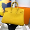 Hermes Birkin 25