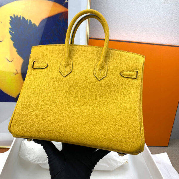 Hermes Birkin 25