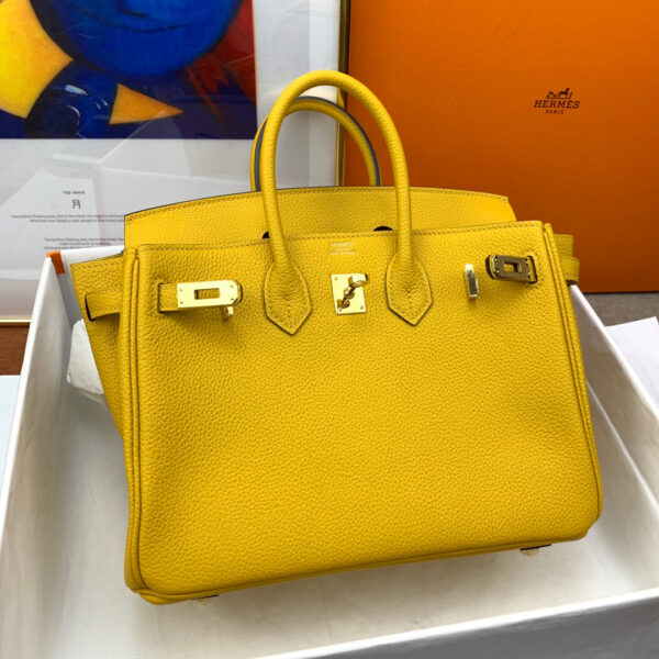 Hermes Birkin 25