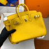 Hermes Birkin 25