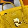 Hermes Birkin 25